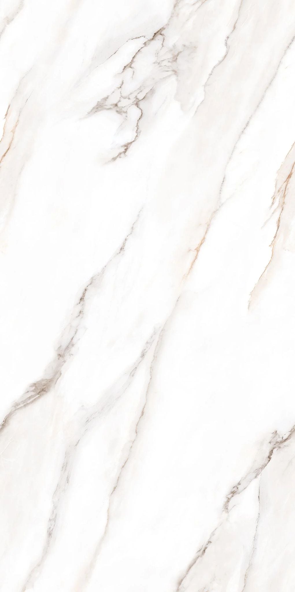 F&D Senso White 24" x 48" @4.99/sf