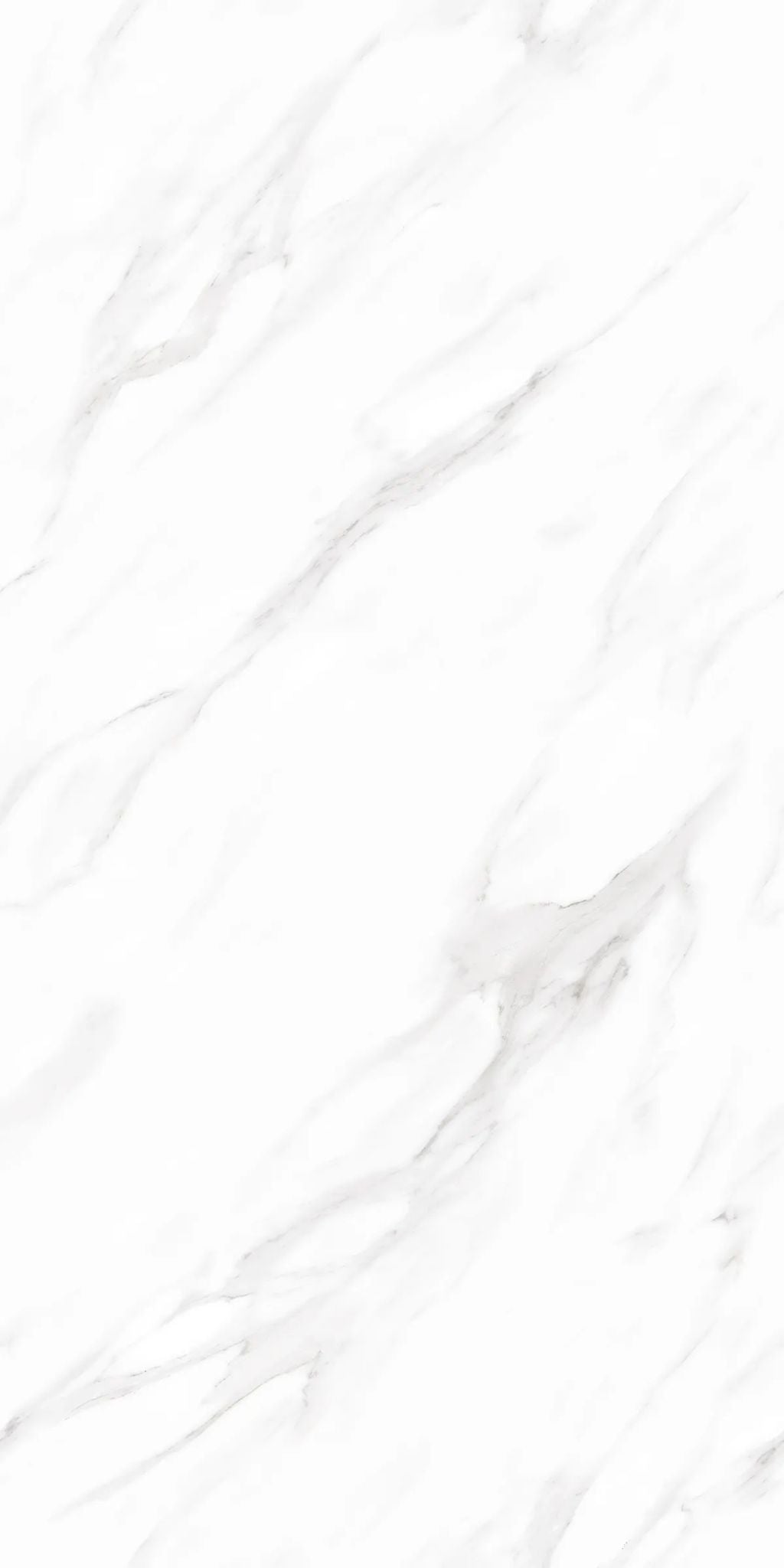 F&D Vega Statuario 24" x 48" @4.99/sf