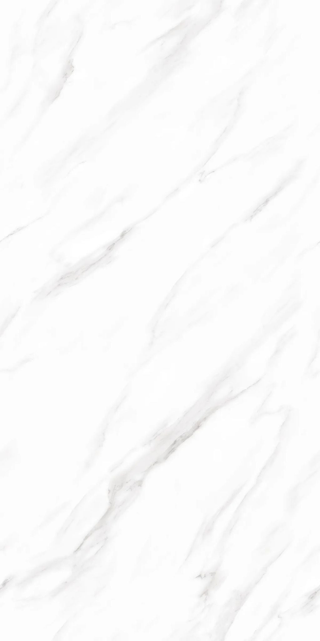 F&D Vega Statuario 24" x 48" @4.99/sf