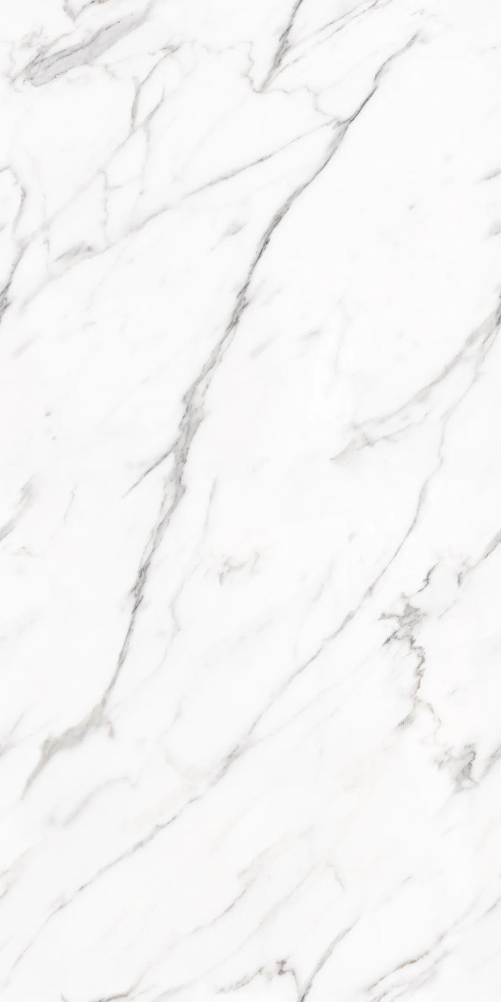 F&D Statuario Milano 24" x 48" @4.99/sf