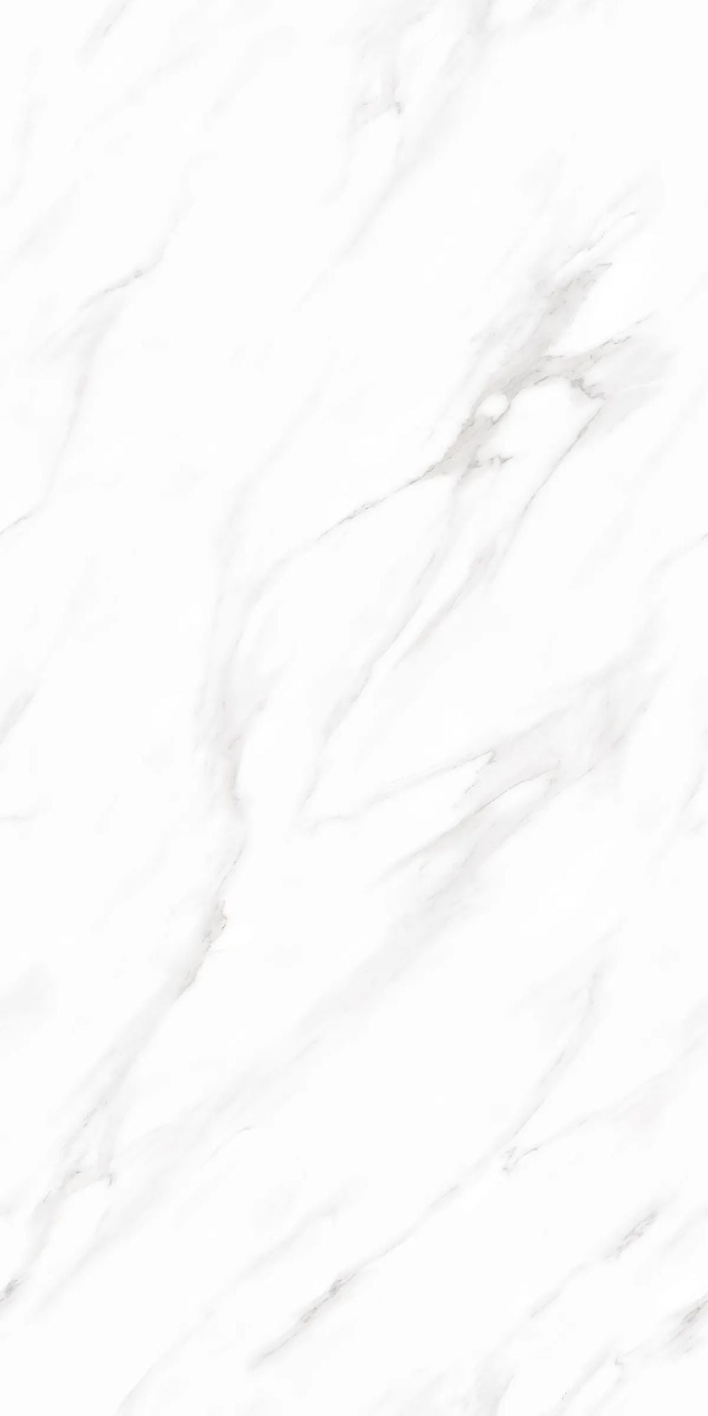 F&D Vega Statuario 24" x 48" @4.99/sf