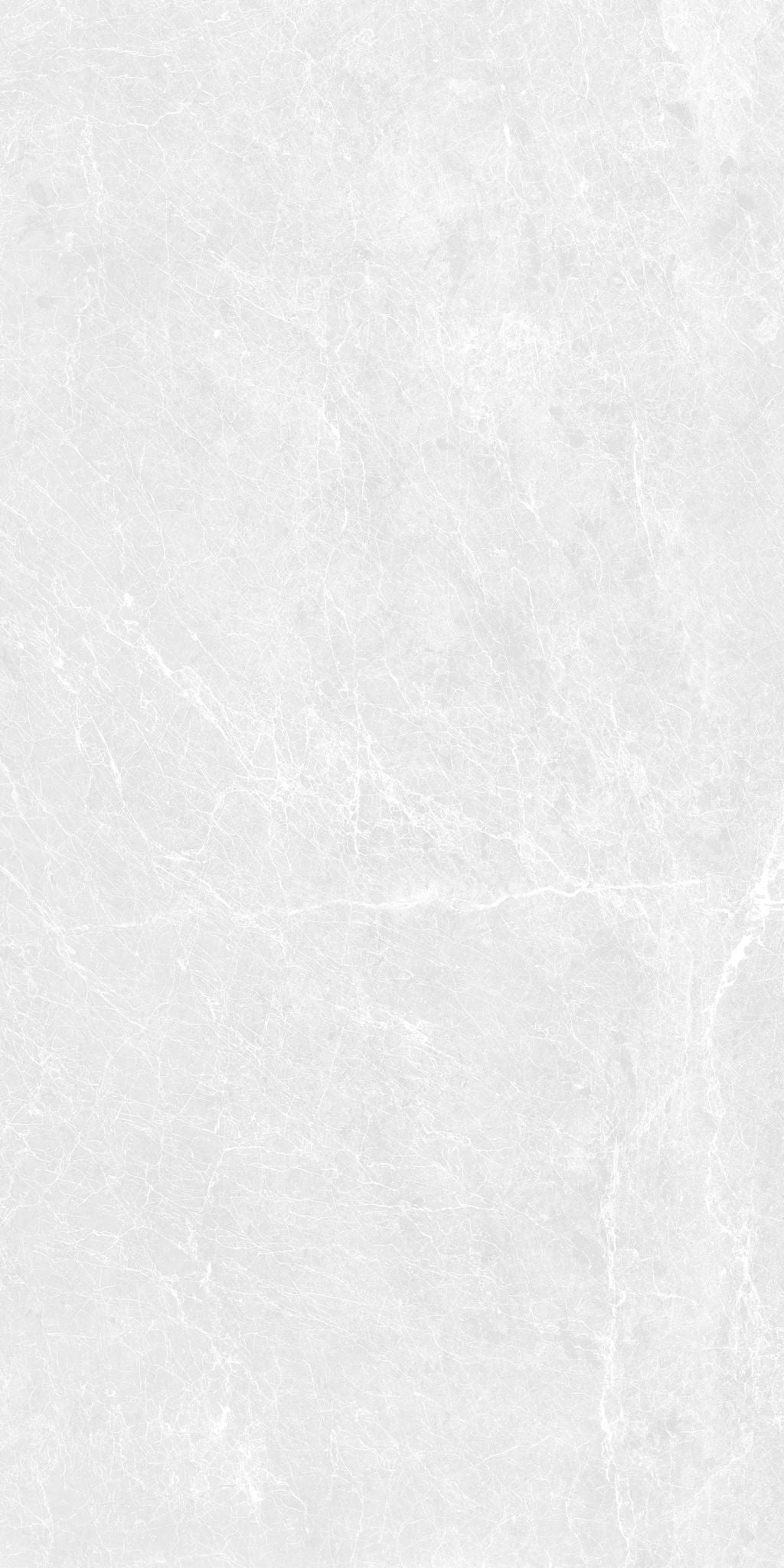 F&D Dove scales 12"x24" & 24"x24" @2.99/sf 24"x48" @3.99/sf