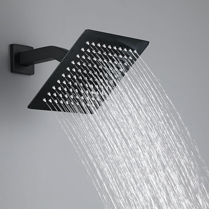 2 Way Shower Set 10 inch