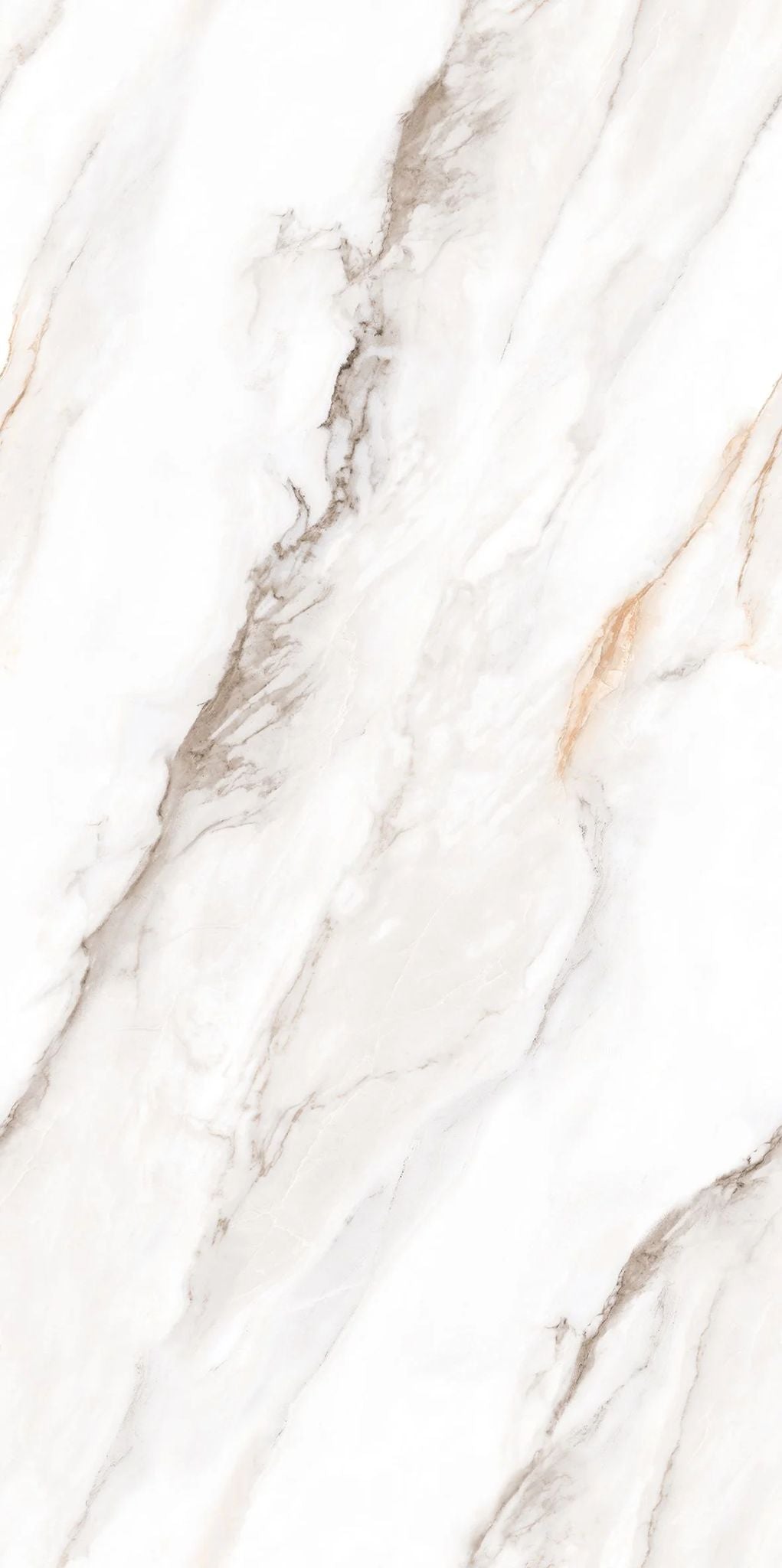 F&D Senso White 24" x 48" @4.99/sf