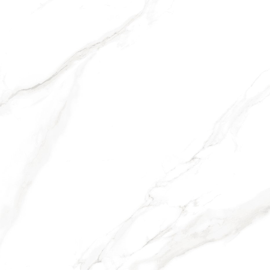 White Corded Lace - Belinda