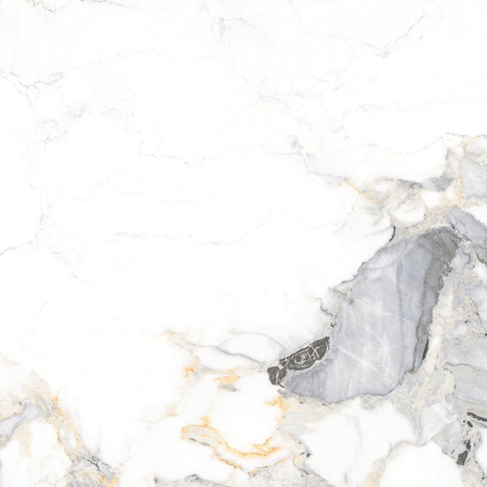 Nolte Gold Polished 12x24 @1.99/sf, 24x24 @1.99/sf And 24x48 @2.99/sf