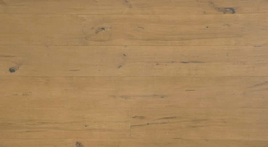 GRANDEUR Hard Maple TAURUS @7.69/sf Collection - Divine 7-1/2"