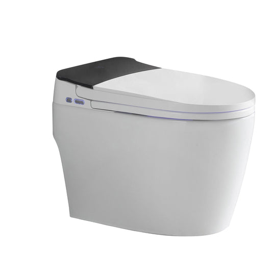 F&D Smart Toilet 6001-Sm