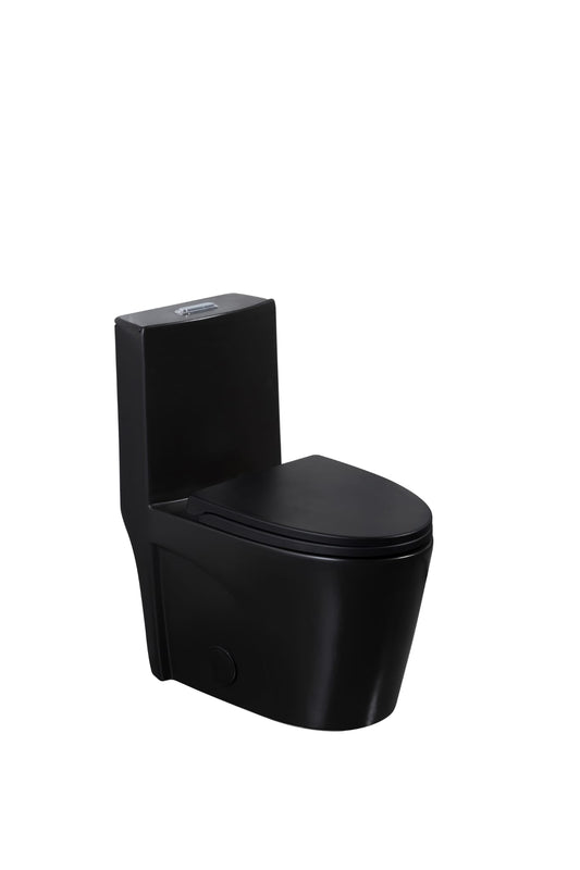 F&D One- Piece Toilet With Elongated Bowl Black 6005Mb