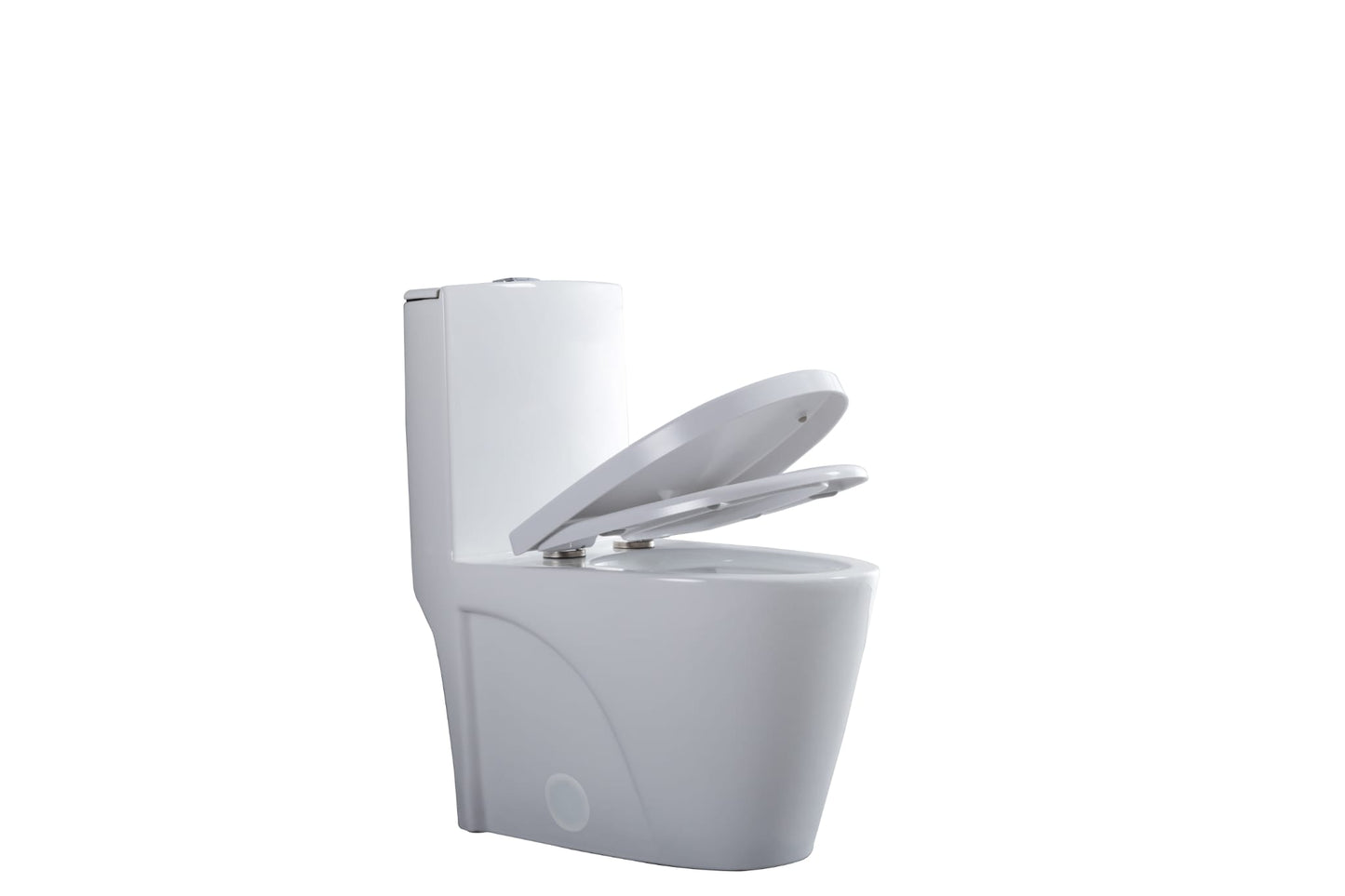 F&D One- Piece Toilet 6008 With Elongated Bowl