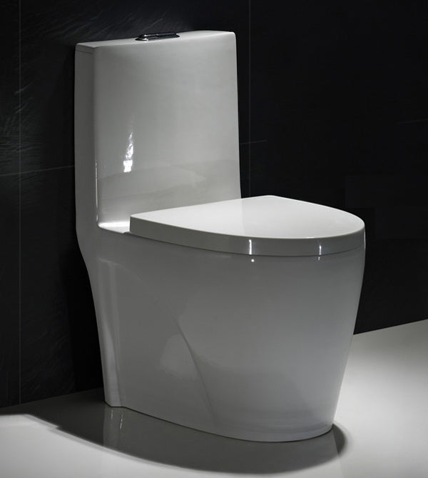 F&D One- Piece Toilet 6008 With Elongated Bowl