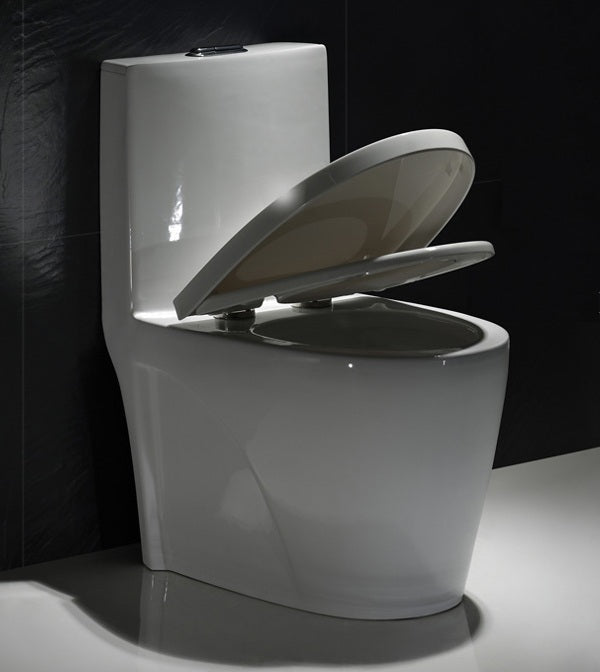 F&D One- Piece Toilet 6008 With Elongated Bowl