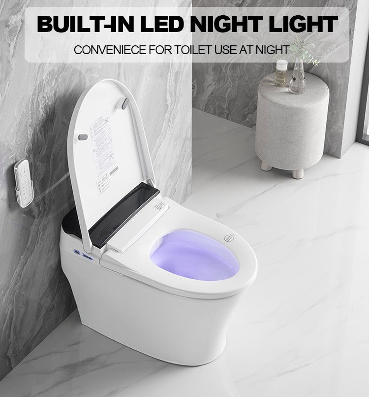 F&D Smart Toilet 6001-Sm