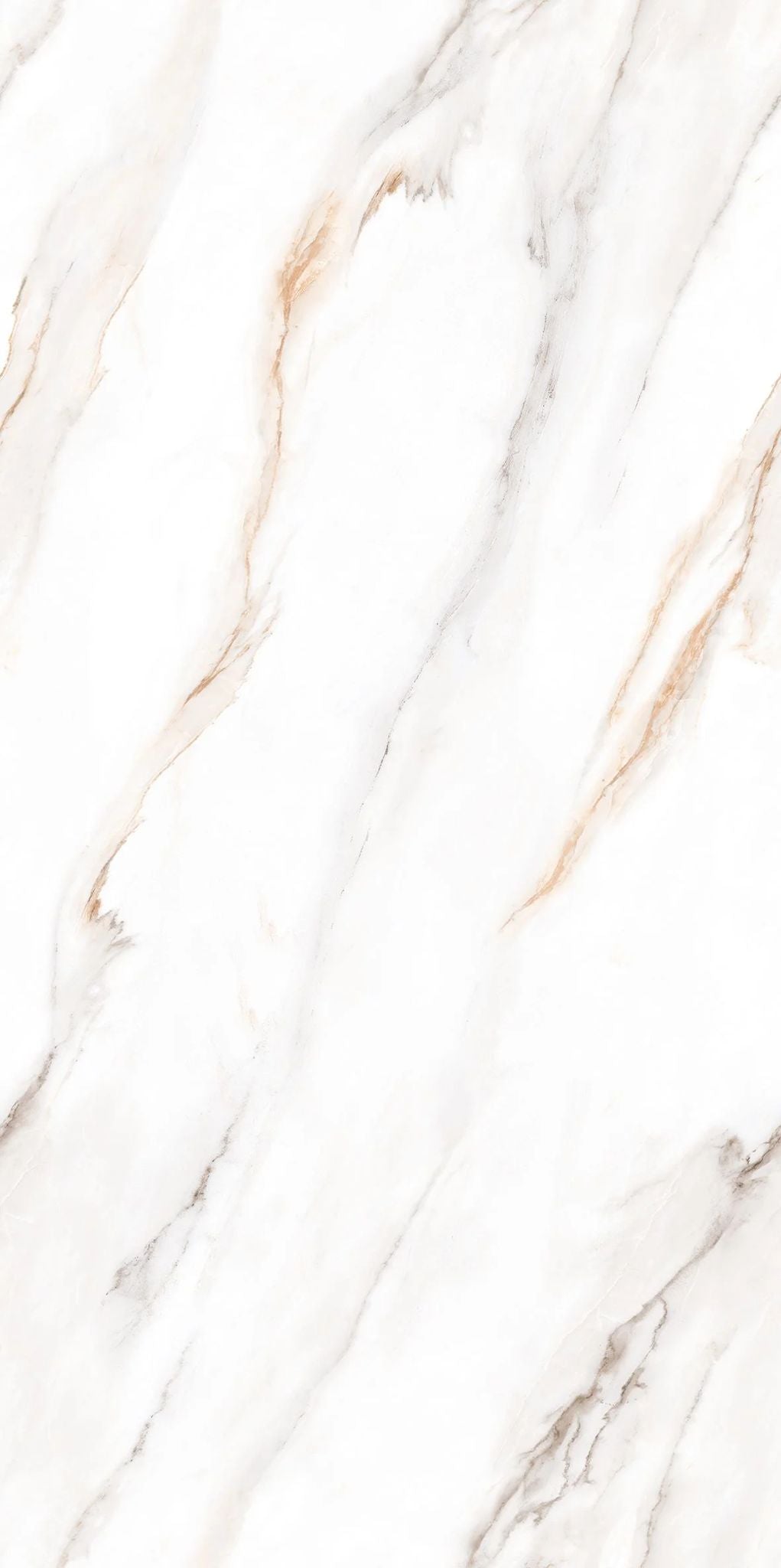 F&D Senso White 24" x 48" @4.99/sf