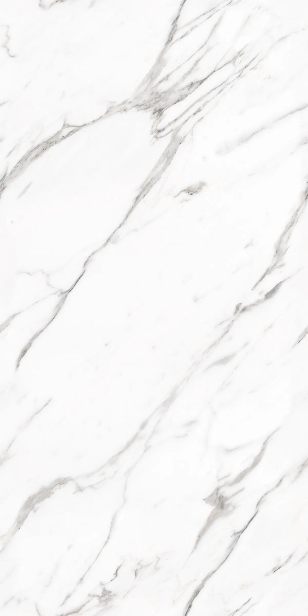 F&D Statuario Milano 24" x 48" @4.99/sf