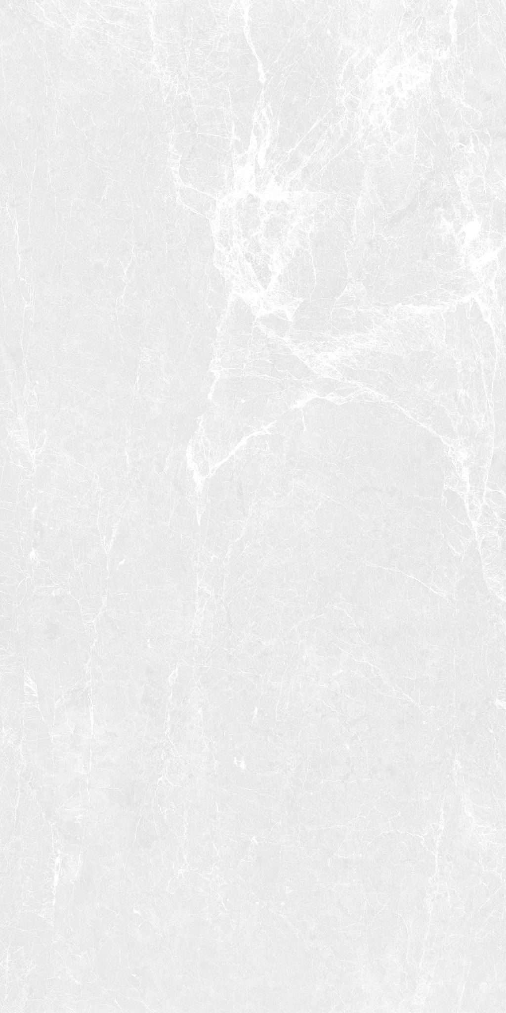 F&D Dove scales 12"x24" & 24"x24" @2.99/sf 24"x48" @3.99/sf