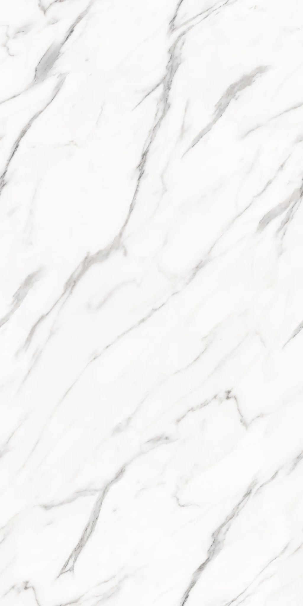F&D Statuario Milano 24" x 48" @4.99/sf
