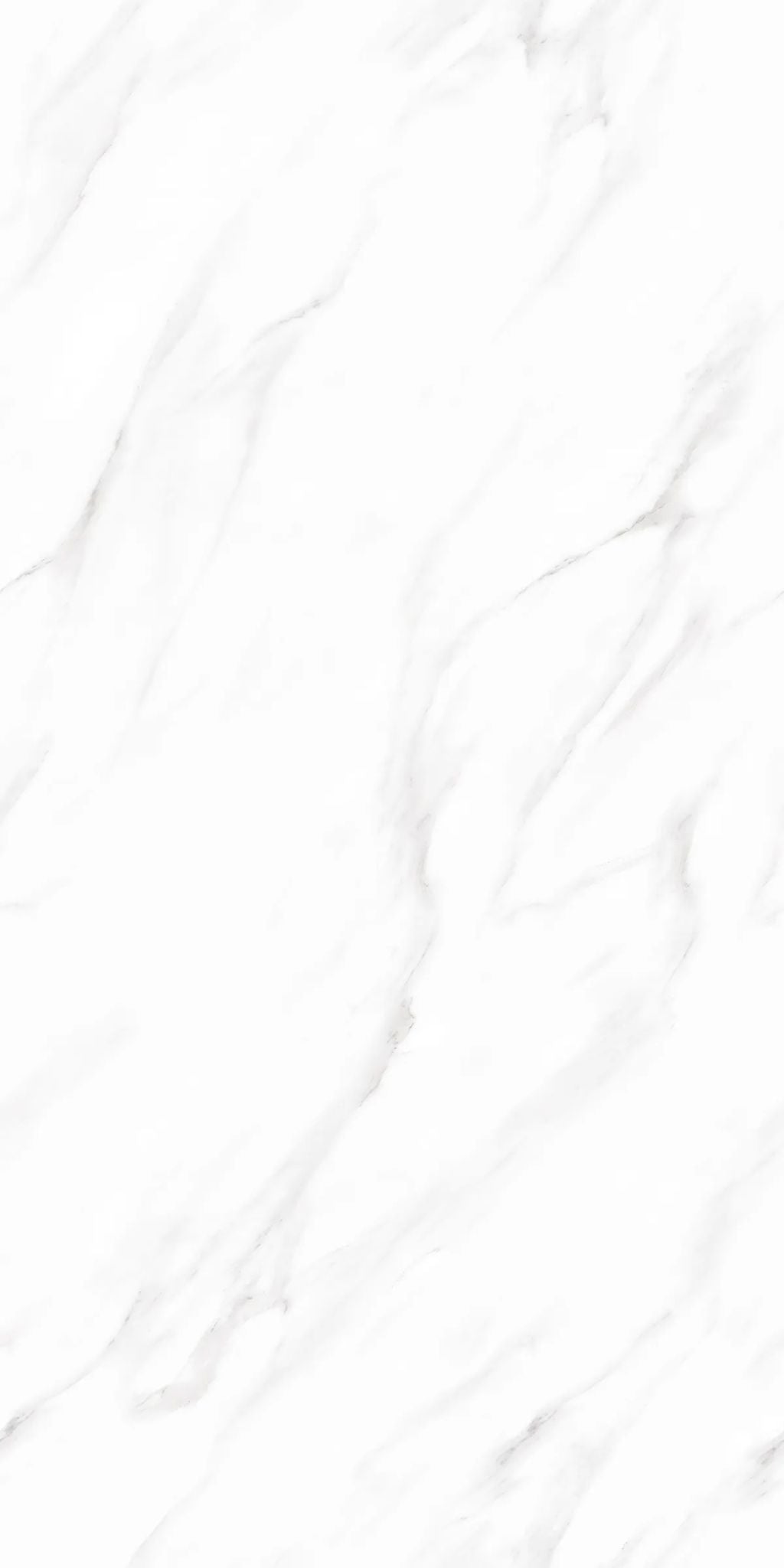 F&D Vega Statuario 24" x 48" @4.99/sf