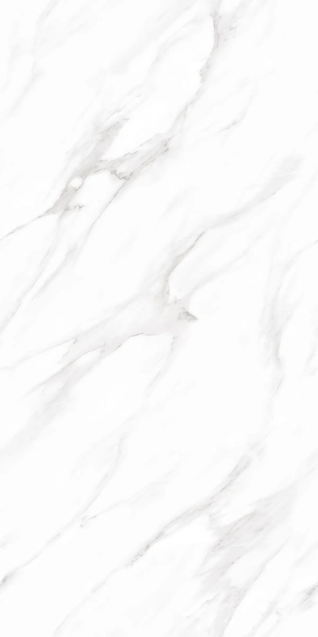 F&D Vega Statuario 24" x 48" @4.99/sf