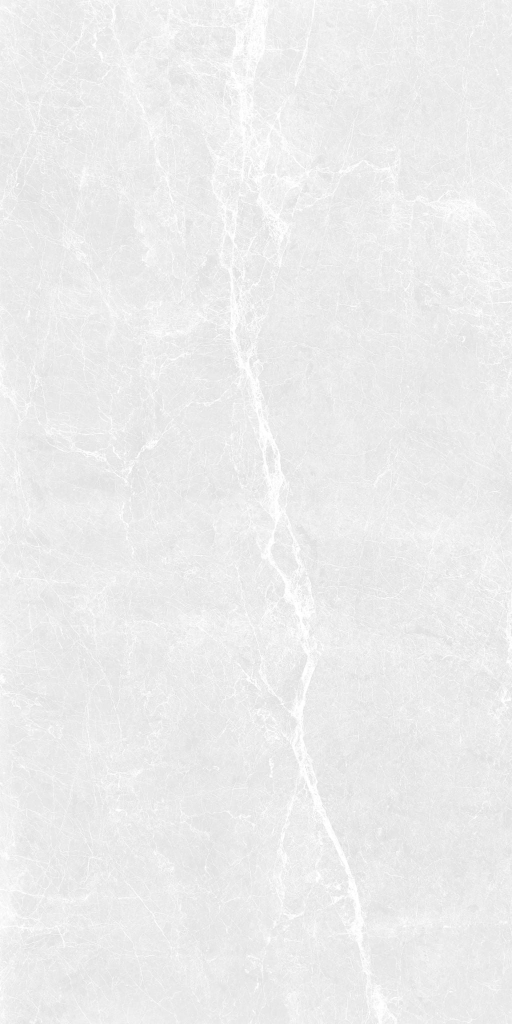 F&D Dove scales 12"x24" & 24"x24" @2.99/sf 24"x48" @3.99/sf