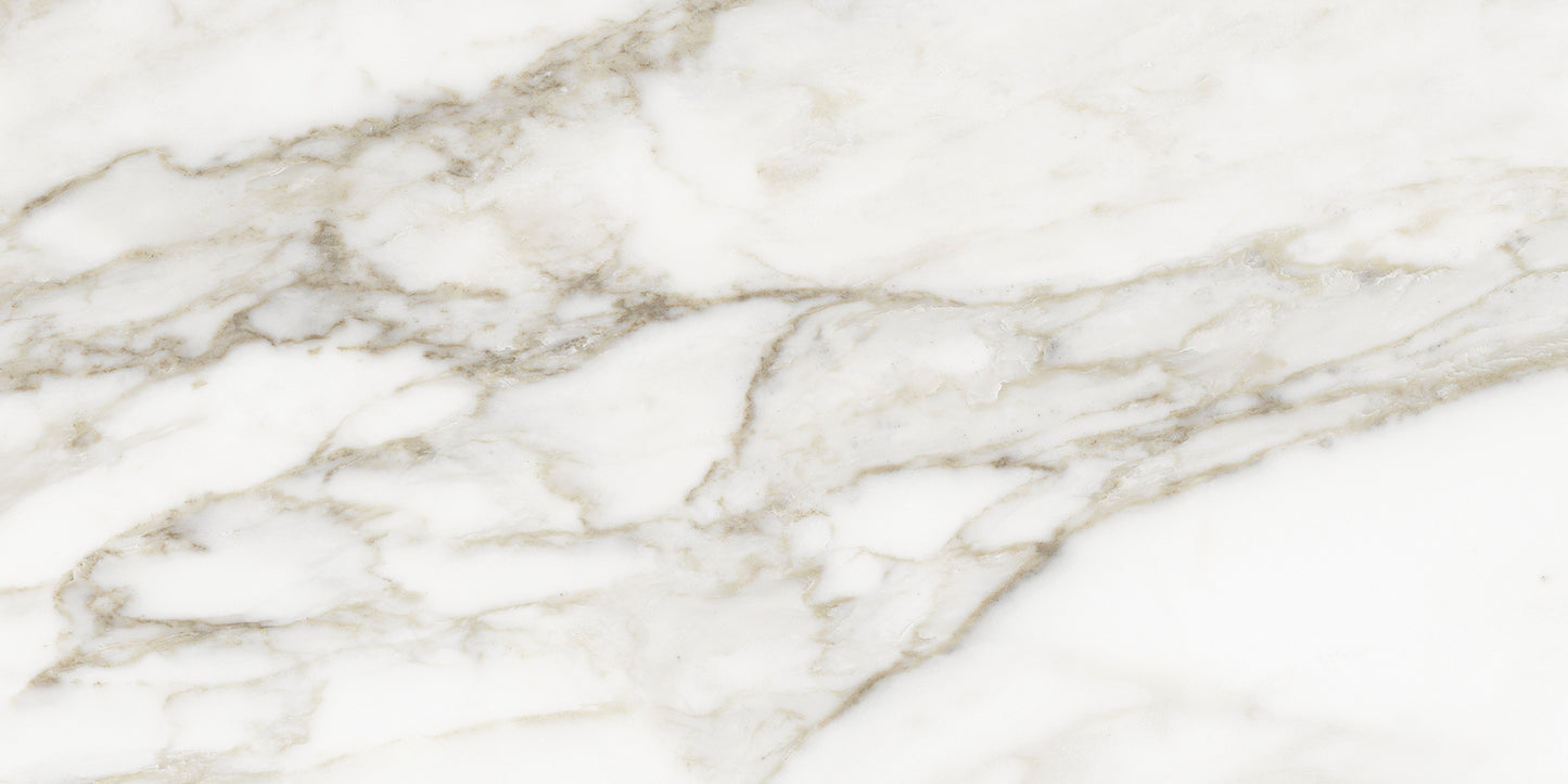 Anatolia La Marca Calacatta Paonazzo 12x24 & 24x24 @6.00/sf and 24x48 @7.75/sf