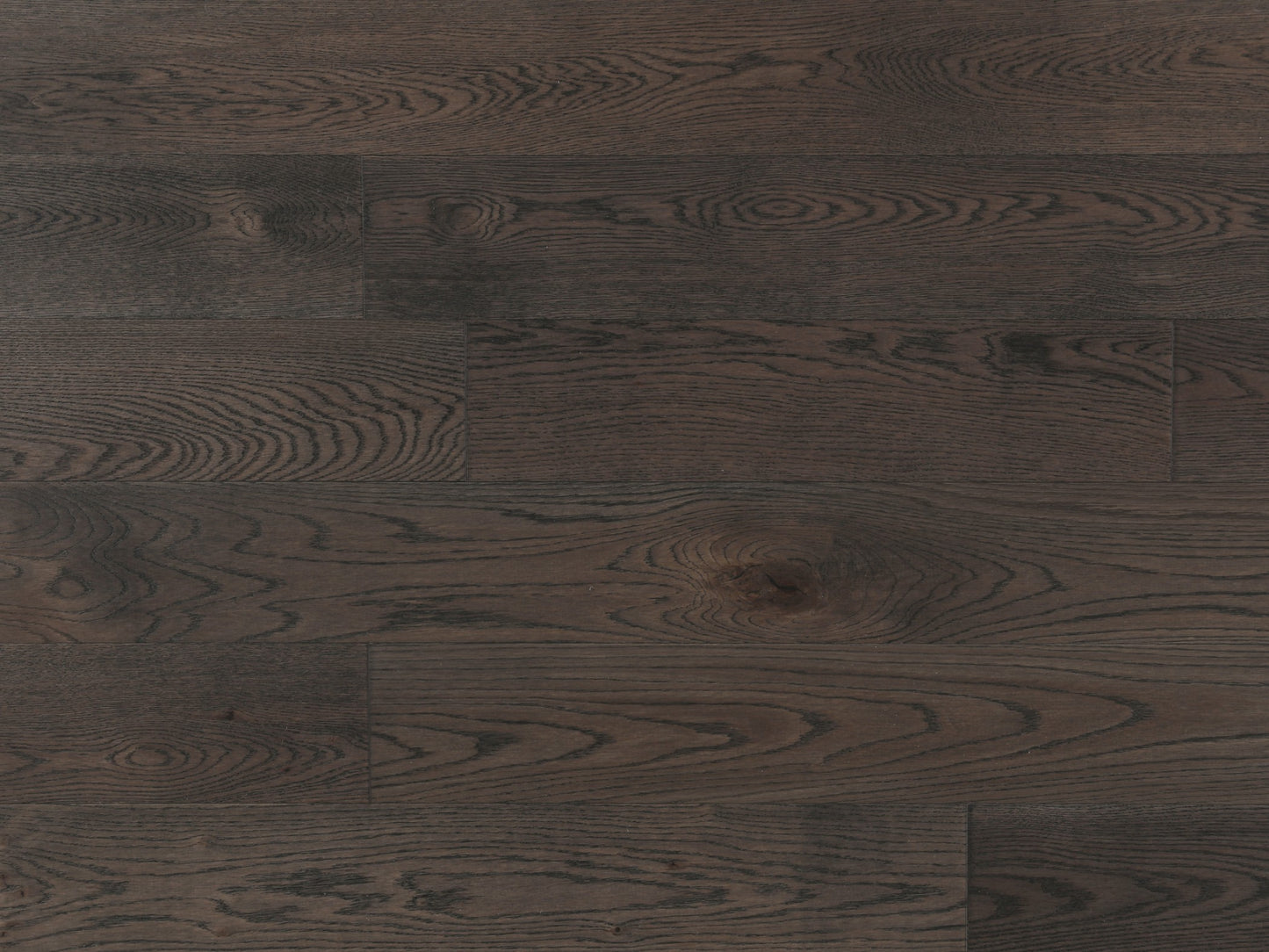 Oak Coffee @3.99/sf