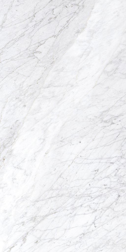 Carrara Matt Rectified Porcelain Tile 24x48 @6.00/sf