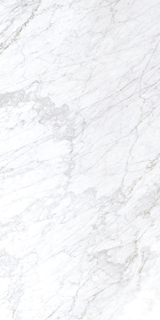 Carrara Matt Rectified Porcelain Tile 24x48 @6.00/sf