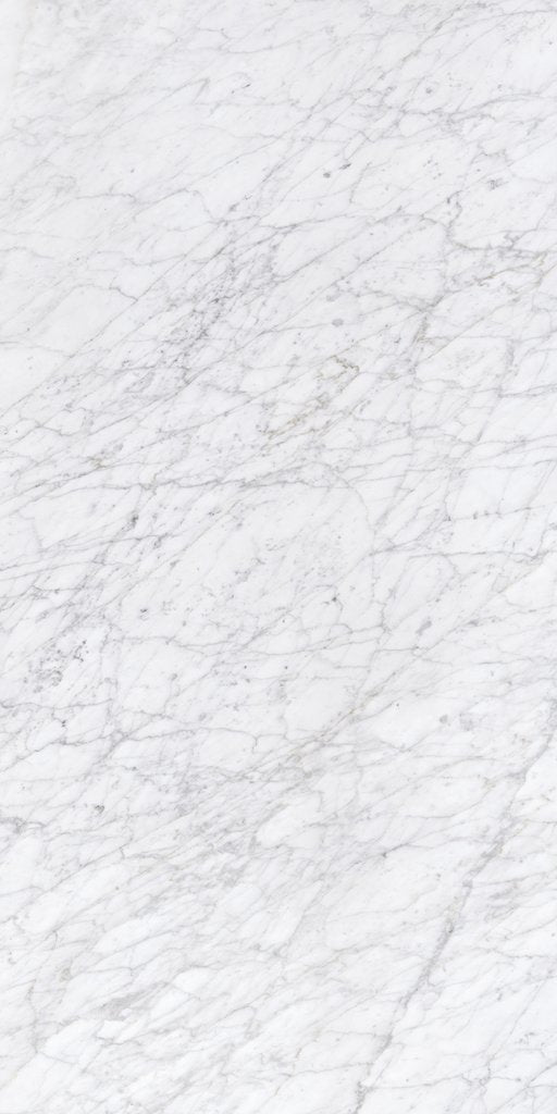 Carrara Matt Rectified Porcelain Tile 24x48 @6.00/sf
