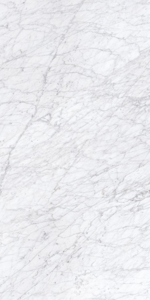 Carrara Matt Rectified Porcelain Tile 24x48 @6.00/sf