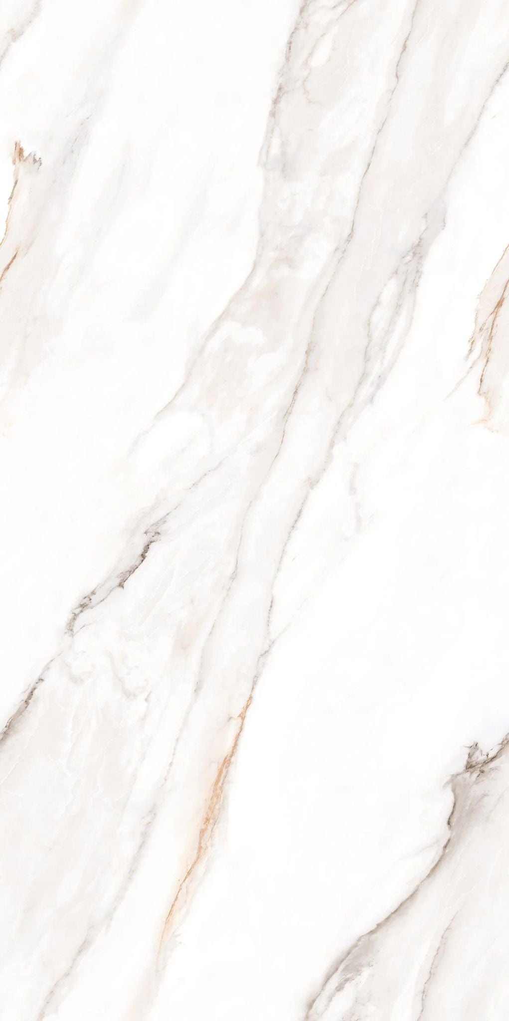 F&D Senso White 24" x 48" @4.99/sf