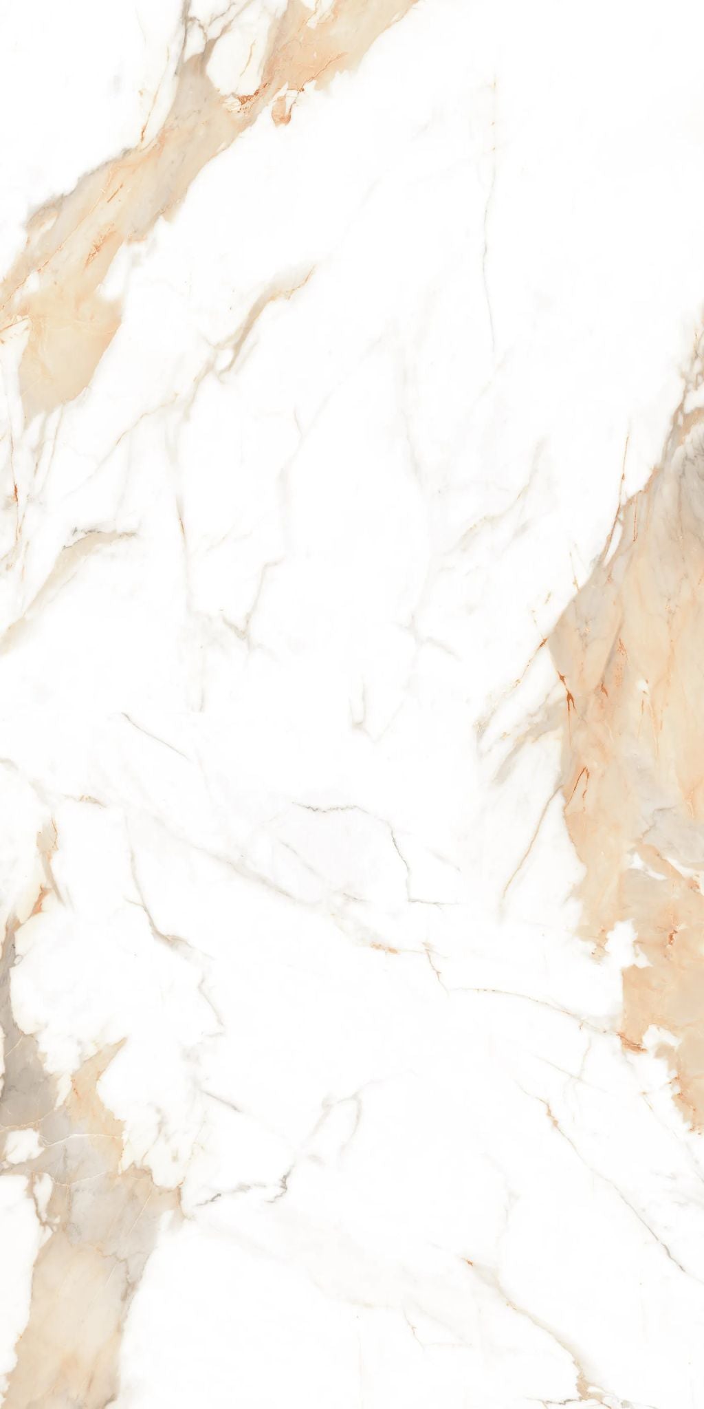 F&D Aurora Gold 12"x24" & 24"x24" @2.99/sf 24"x48" @3.99/sf