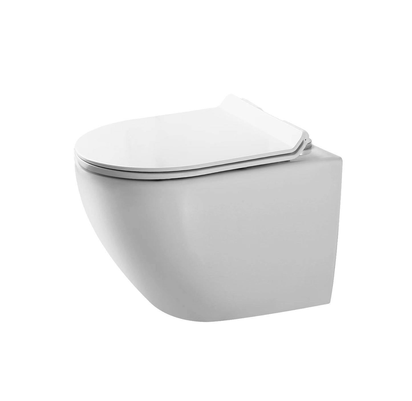 F&D Wall Hung Toilet 6007-Wh