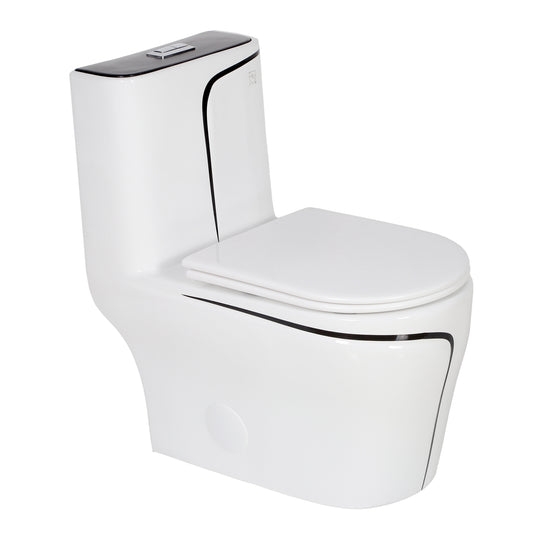 F&D Dual Flush One Piece Toilet 6009