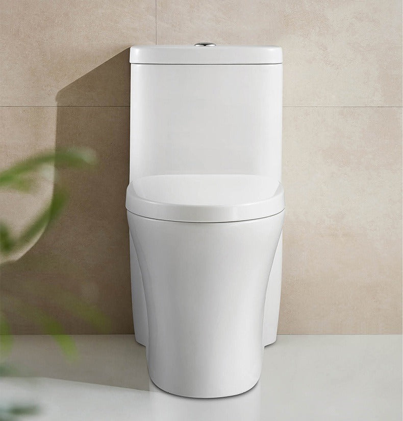 F&D One Pc Toilet 6004