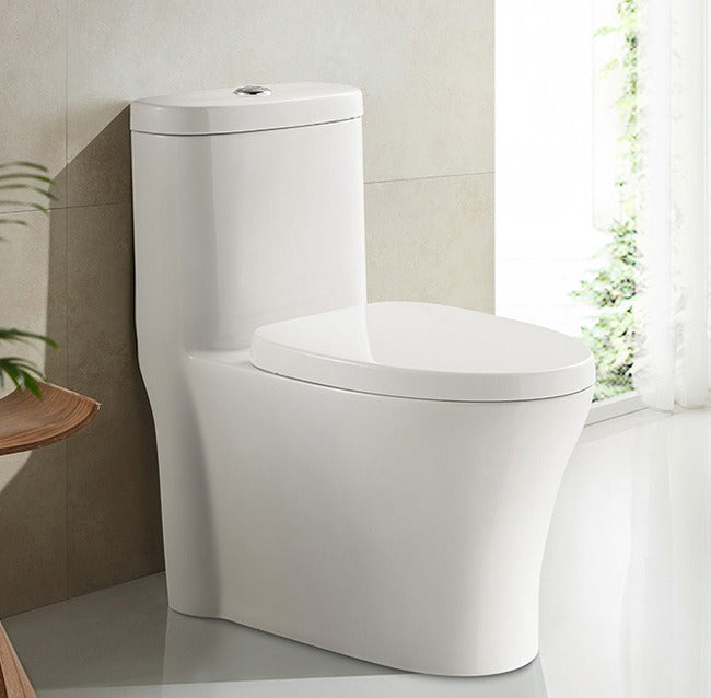 F&D One Pc Toilet 6004