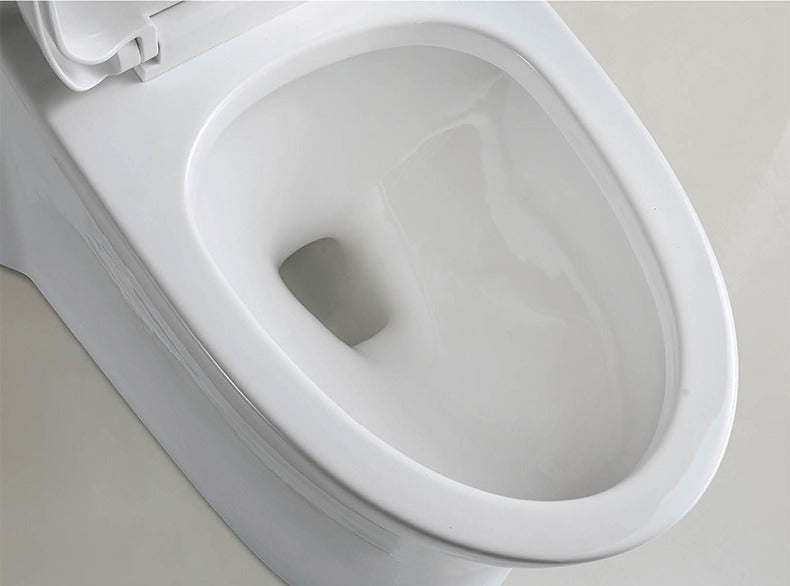 F&D One Pc Toilet 6004