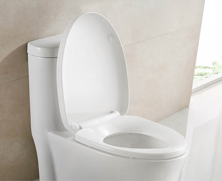 F&D One Pc Toilet 6004