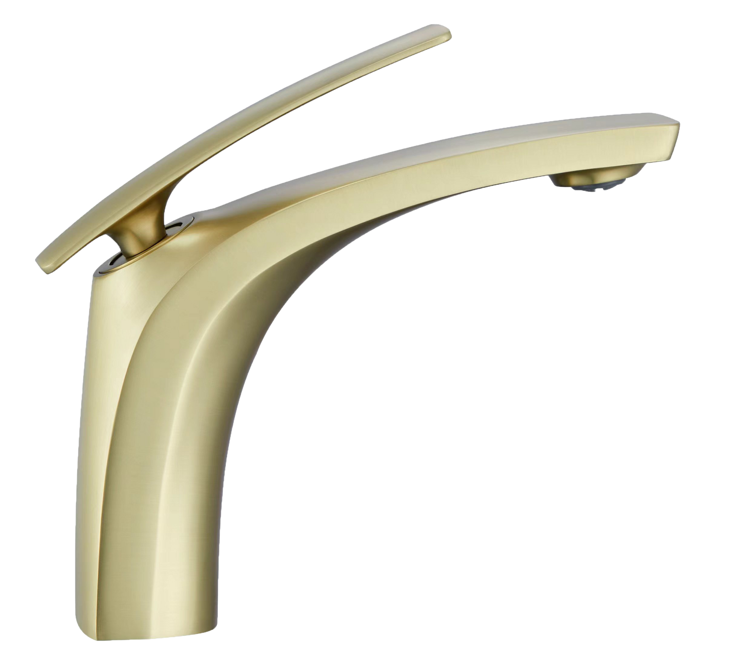 Vanity Faucet Rochester