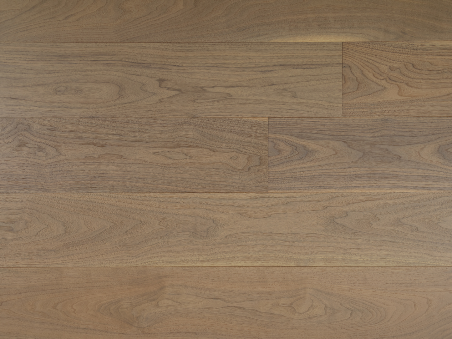 American Black Walnut - Provence @4.99/sf