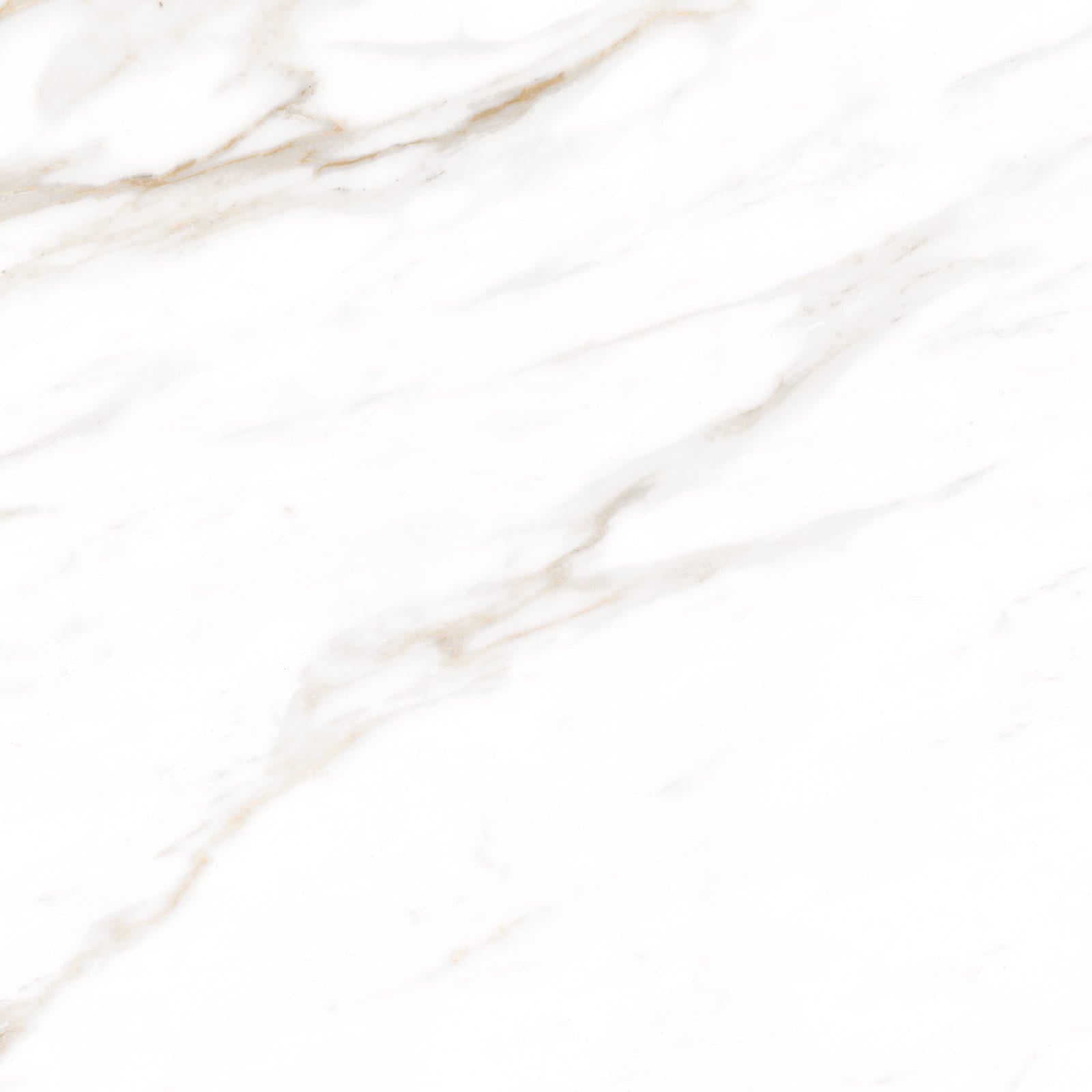 Belinda Gold Porcelain 12x24 @1.60/sf And 24x24 @1.79/sf – Floor And Decor